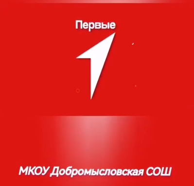 Опыт участников движения "Первых".